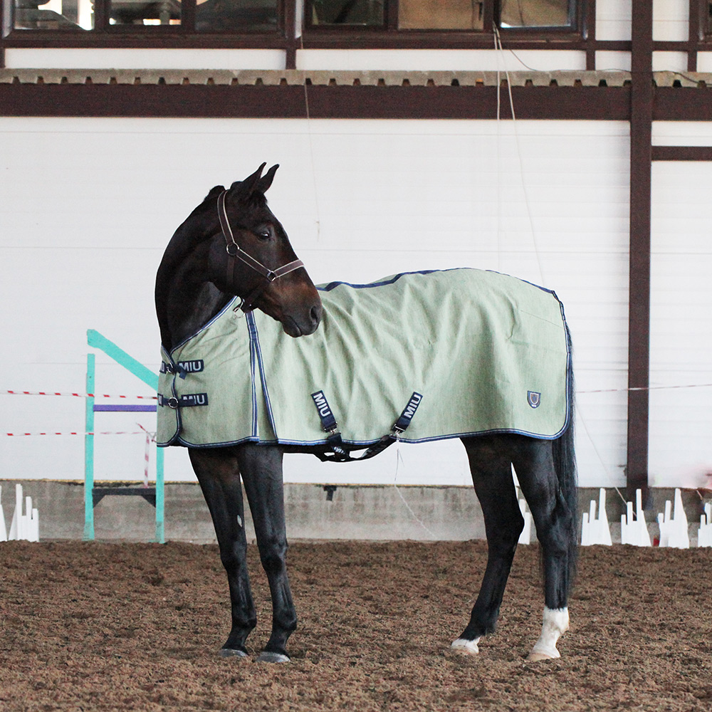 Попона джутовая NATURE